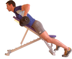 bring shoulder blades together keeping the weights close to your sides