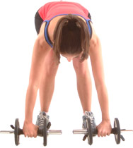 commence with your back parallel to the floor