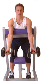 keep your triceps in contact with the machine throughout