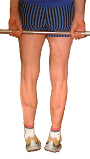 SMOOTHLY RAISE YOUR HEELS UPWARDS