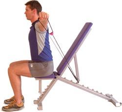 aim to keep your arms and back straight throughout the exercise