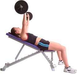 extend the bar up vertically