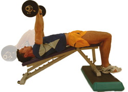 keep elbows shoulder width apart